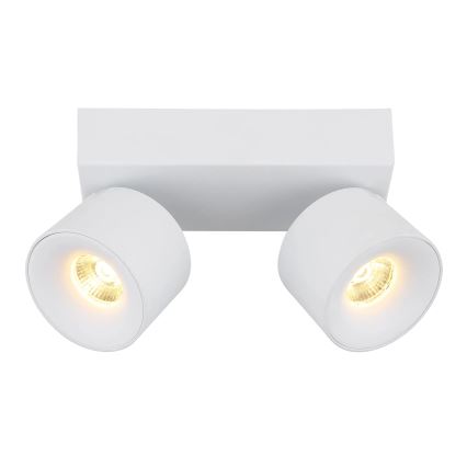 Globo - LED Oświetlenie punktowe 2xLED/6W/230V biały