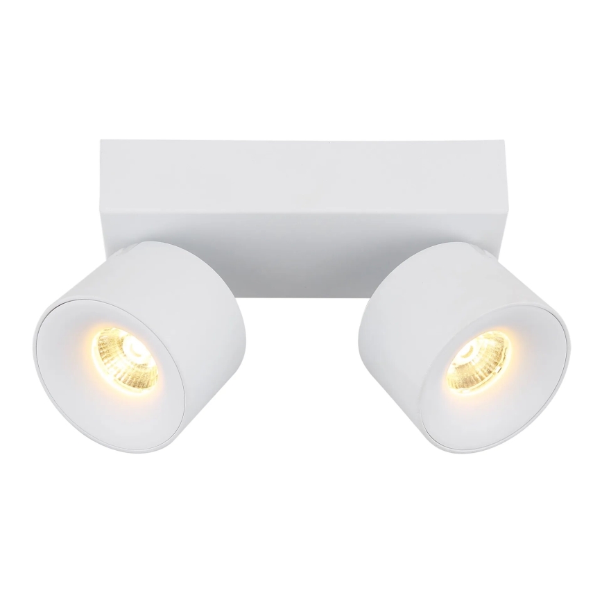 Globo - LED Oświetlenie punktowe 2xLED/6W/230V biały