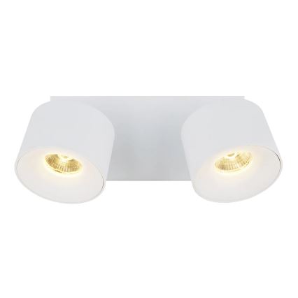Globo - LED Oświetlenie punktowe 2xLED/6W/230V biały