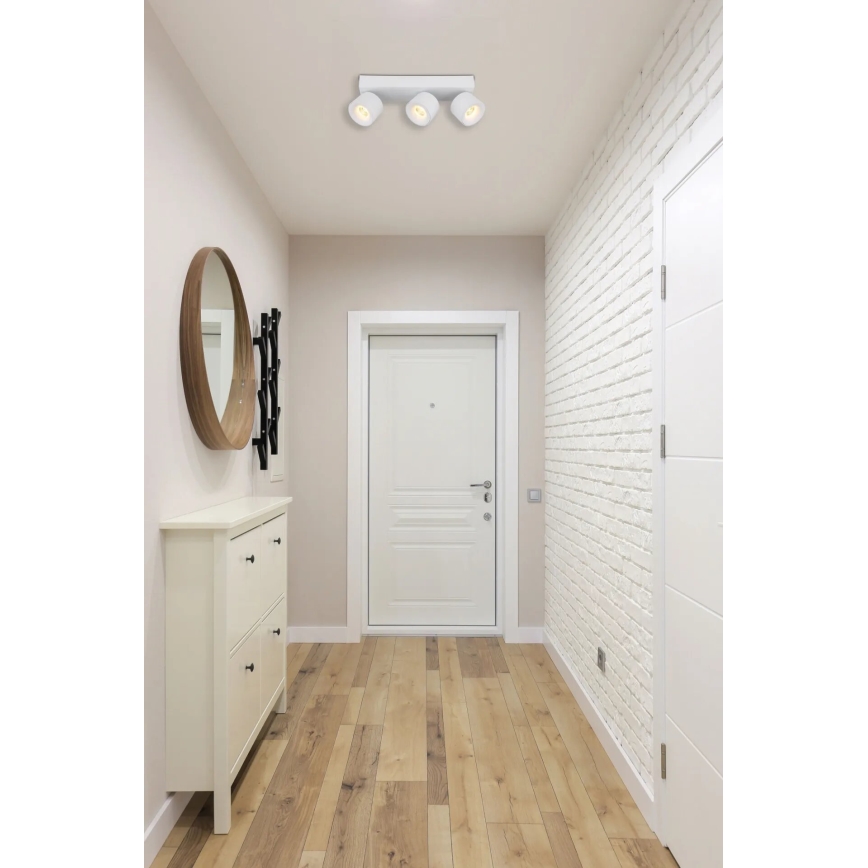 Globo - LED Oświetlenie punktowe 3xLED/6W/230V biały