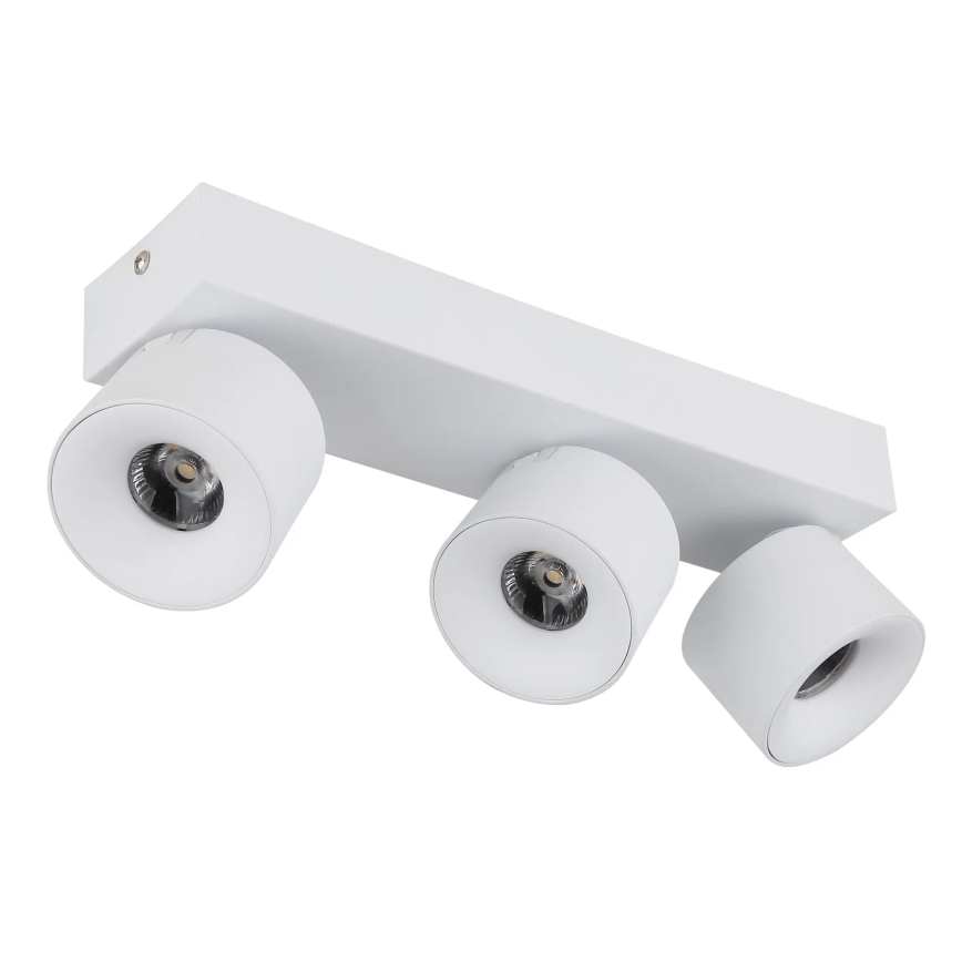 Globo - LED Oświetlenie punktowe 3xLED/6W/230V biały