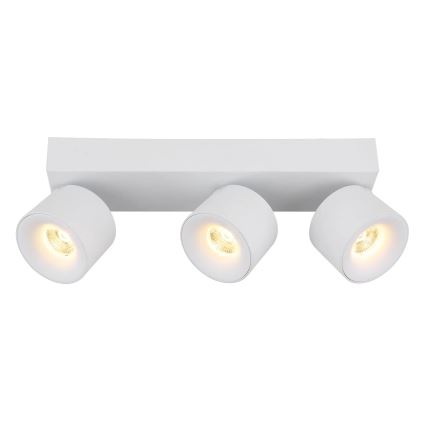 Globo - LED Oświetlenie punktowe 3xLED/6W/230V biały