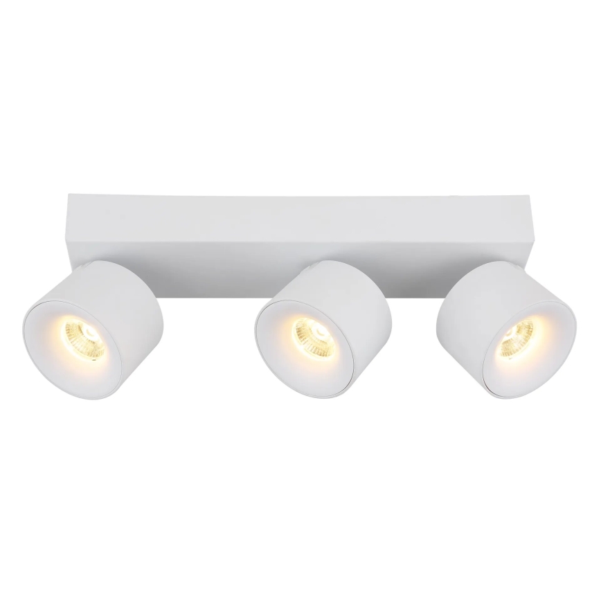 Globo - LED Oświetlenie punktowe 3xLED/6W/230V biały