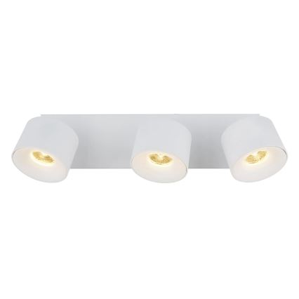 Globo - LED Oświetlenie punktowe 3xLED/6W/230V biały