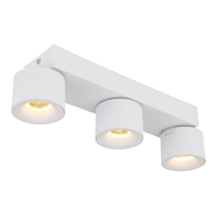 Globo - LED Oświetlenie punktowe 3xLED/6W/230V biały