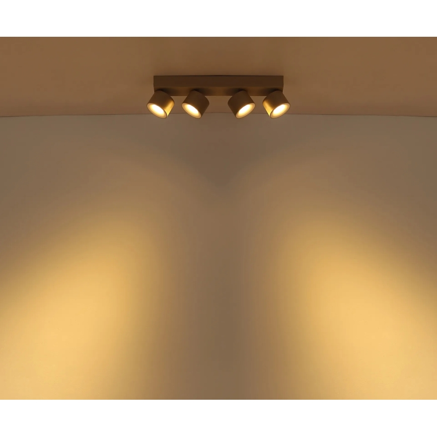 Globo - LED Oprawa punktowa 4xLED/6W/230V