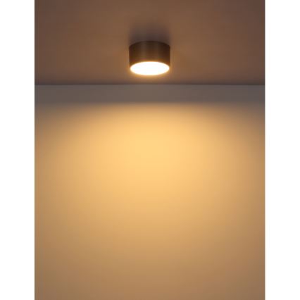 Globo - Lampa sufitowa LED/12W/230V śr. 15 cm 3000K beżowa