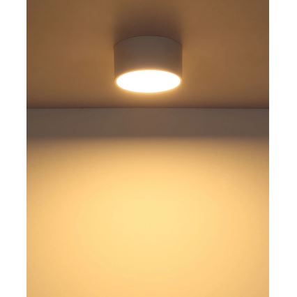 Globo - Lampa sufitowa LED/12W/230V 3000K śr. 15 cm biała