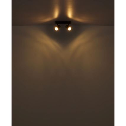 Globo - Oświetlenie punktowe 2xGU10/25W/230V biały/matowy chrom