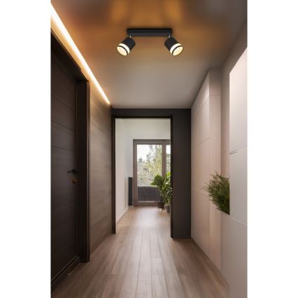 Globo - LED Oświetlenie punktowe 2xGX53/7W/230V 3000K