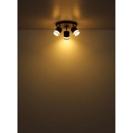 Globo - LED Oświetlenie punktowe 3xGX53/7W/230V 3000K