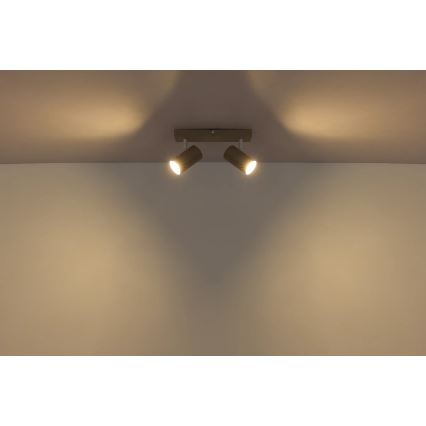 Globo - Oprawa punktowa 2xGU10/35W/230V