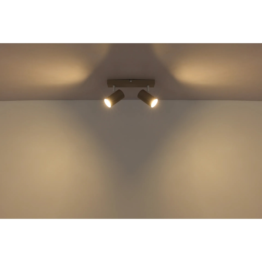 Globo - Oprawa punktowa 2xGU10/35W/230V