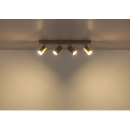 Globo - Oprawa punktowa 4xGU10/35W/230V