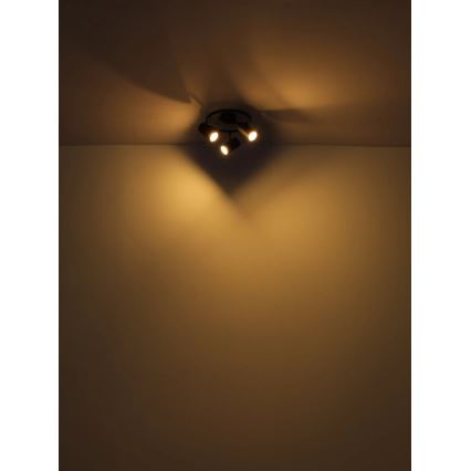 Globo - Oświetlenie punktowe 3xGU10/25W/230V czarne