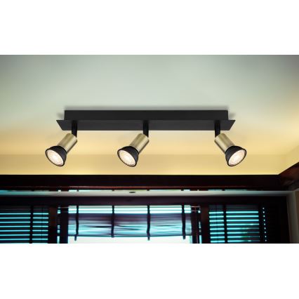 Globo - Oświetlenie punktowe 3xGU10/35W/230V czarne/mosiądz