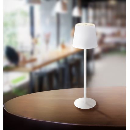Globo - LED Ściemnialna dotykowa zewnętrzny lampa LED/3W/3,7V IP44 1800 mAh USB biały