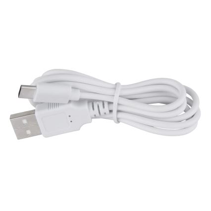 Globo - LED Ściemnialna dotykowa lampa stołowa LED/1W/3,7V 3000K 1800 mAh USB biała