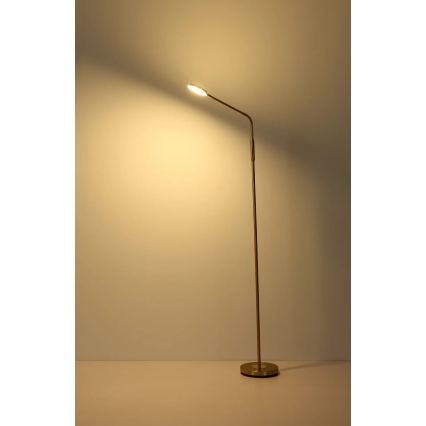 Globo - LED ściemnialna dotykowa lampa stojąca LED/6,5W/230V 2700/3350/4000K mosiądz