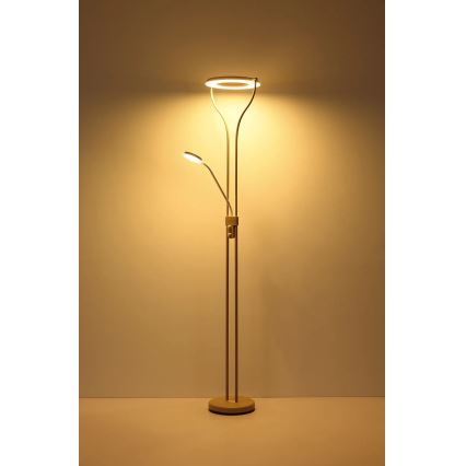 Globo - Ściemnialna lampa stojąca LED/20W/230V + LED/4W 3000K