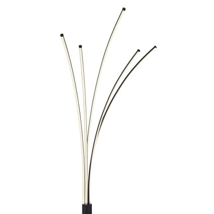 Globo - LED Ściemniana lampa stojąca LED/36W/230V 3000-6000K Wi-Fi Tuya + pilot zdalnego sterowania