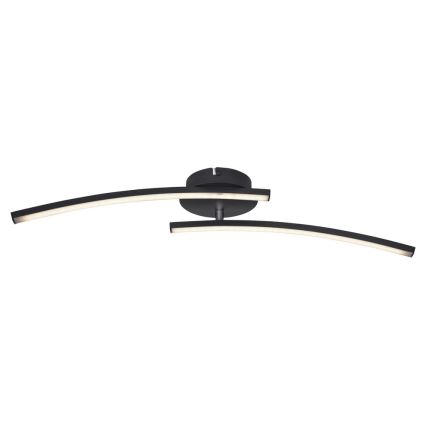 Globo - LED Żyrandol natynkowy 2xLED/6W/230V 3000/4000/6000K