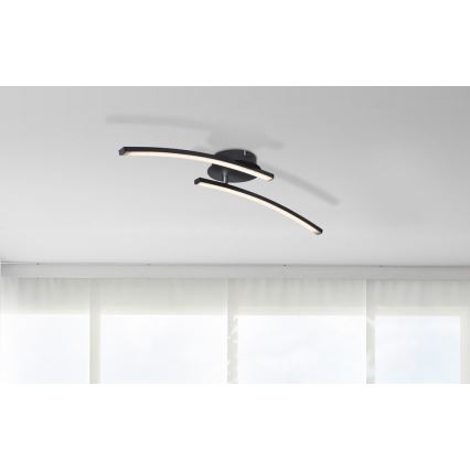 Globo - LED Żyrandol natynkowy 2xLED/6W/230V 3000/4000/6000K