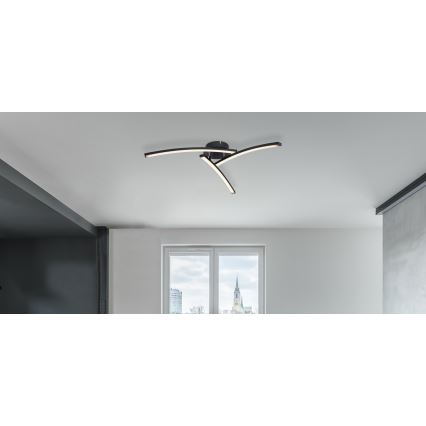Globo - LED Żyrandol natynkowy 3xLED/6W/230V 3000/4000/6000K