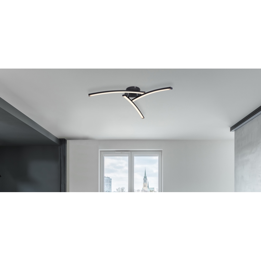 Globo - LED Żyrandol natynkowy 3xLED/6W/230V 3000/4000/6000K