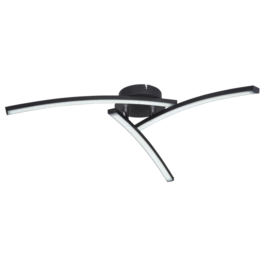 Globo - LED Żyrandol natynkowy 3xLED/6W/230V 3000/4000/6000K