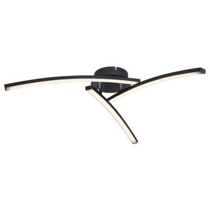 Globo - LED Żyrandol natynkowy 3xLED/6W/230V 3000/4000/6000K