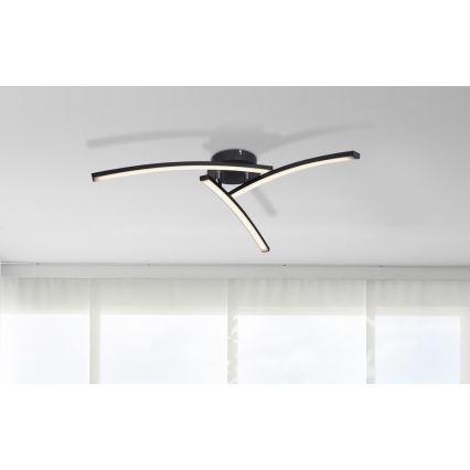 Globo - LED Żyrandol natynkowy 3xLED/6W/230V 3000/4000/6000K