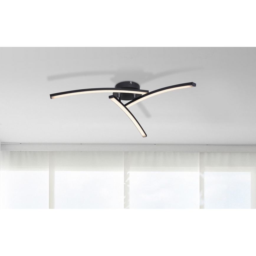 Globo - LED Żyrandol natynkowy 3xLED/6W/230V 3000/4000/6000K