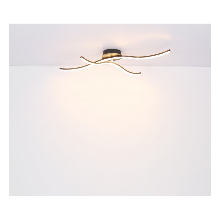 Globo - LED Żyrandol natynkowy LED/20W/230V