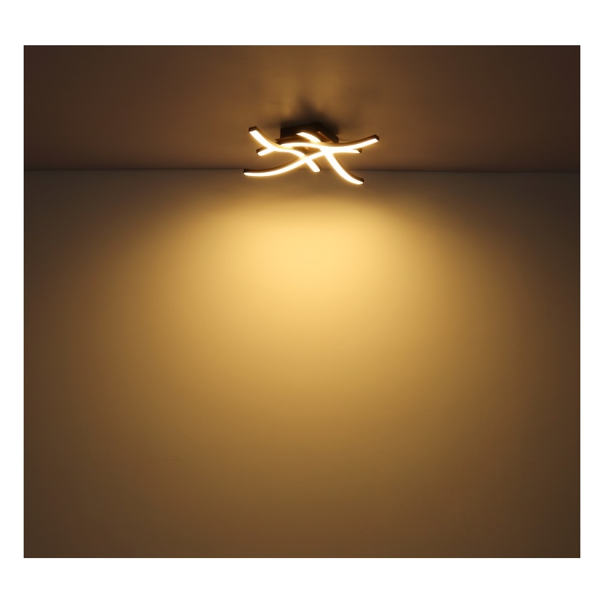 Globo - LED Żyrandol natynkowy 4xLED/5W/230V