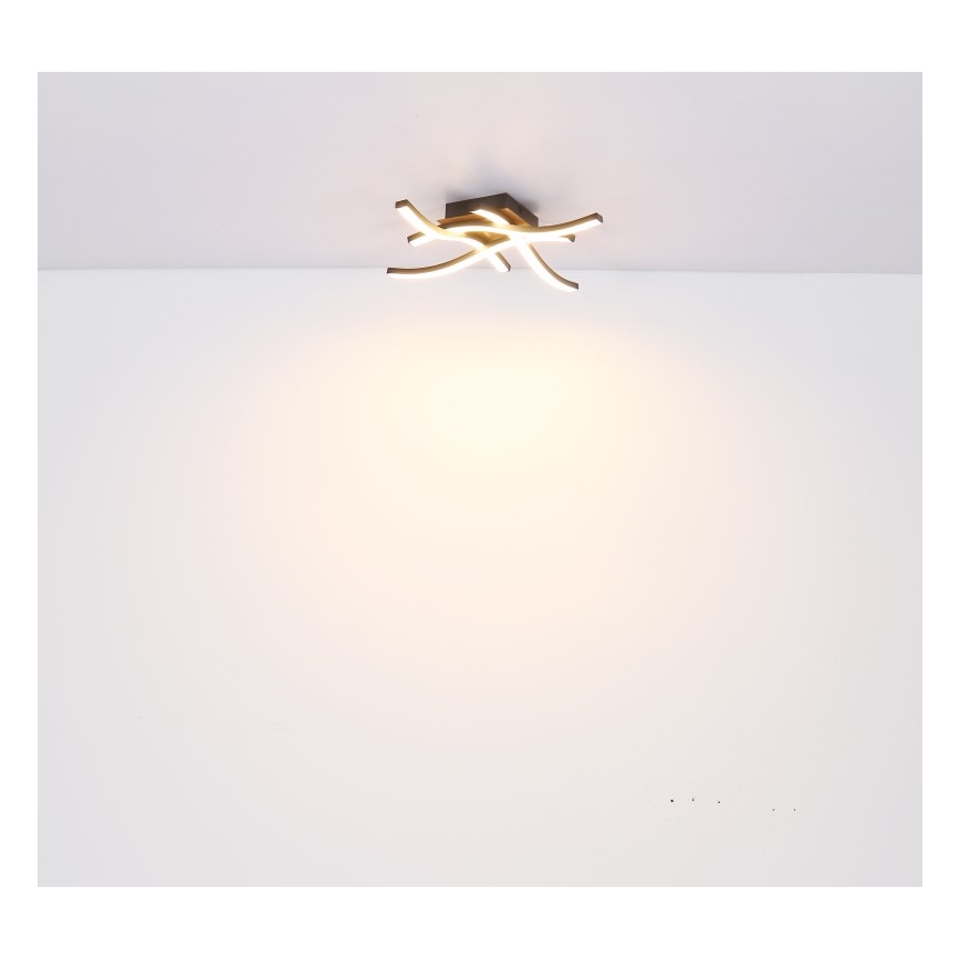 Globo - LED Żyrandol natynkowy 4xLED/5W/230V