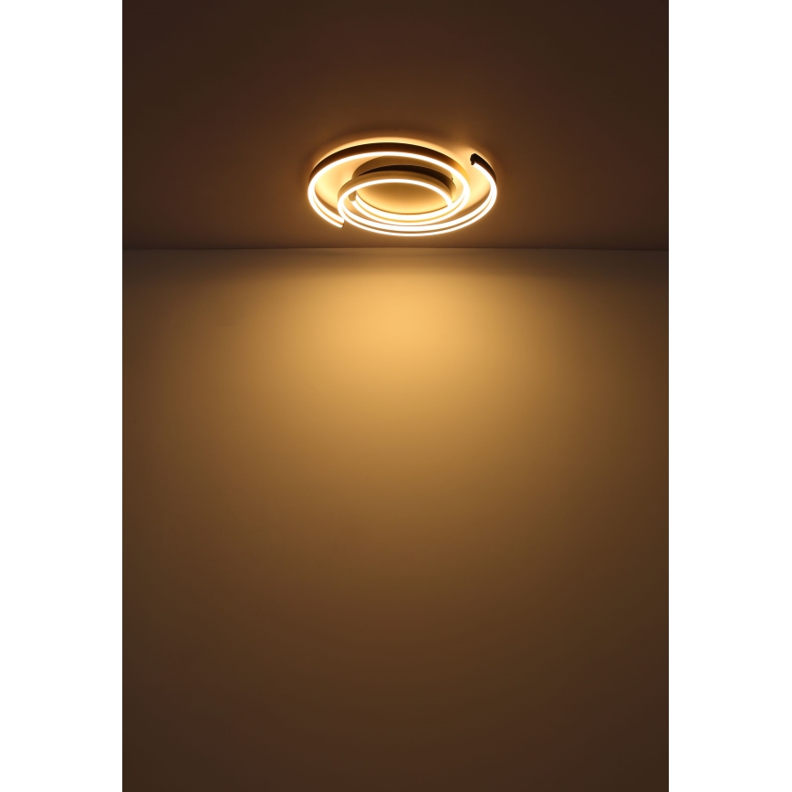 Globo - LED Plafon LED/38W/230V