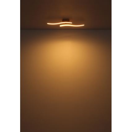 Globo - LED Żyrandol natynkowy LED/12W/230V 3000K biały