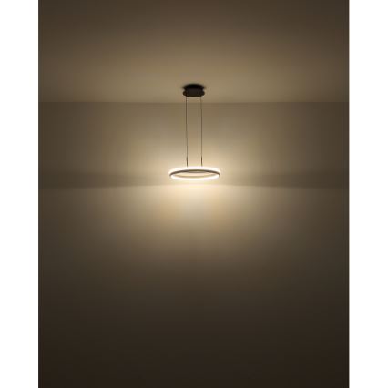 Globo - LED Żyrandol na lince LED/40W/230V 3000/4000/6000K śr. 39,7 cm brązowy