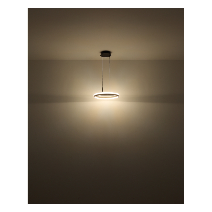 Globo - LED Żyrandol na lince LED/40W/230V 3000/4000/6000K śr. 39,7 cm brązowy