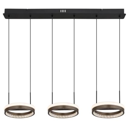 Globo - LED żyrandol na linkach LED/40W/230V 3000/4000/6000K