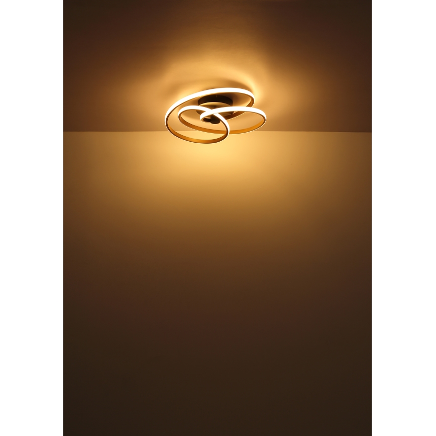 Globo - LED Żyrandol natynkowy LED/40W/230V 3000K matowy chrom/czarny