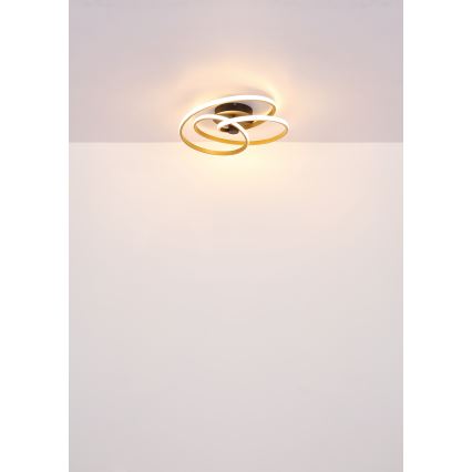 Globo - LED Żyrandol natynkowy LED/40W/230V 3000K matowy chrom/czarny