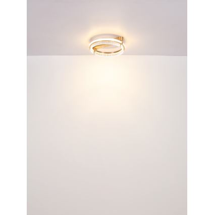 Globo - LED Ściemnialny plafon kryształowy LED/36W/230V 2700K-6000K + zdalne sterowanie