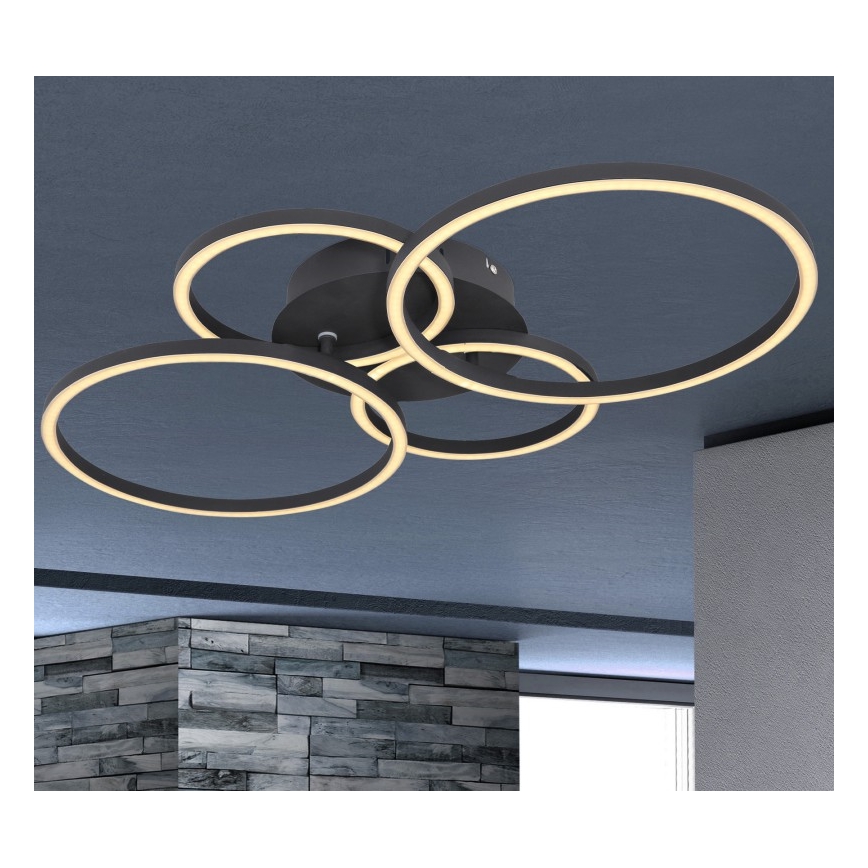Globo - LED Żyrandol natynkowy LED/40W/230V