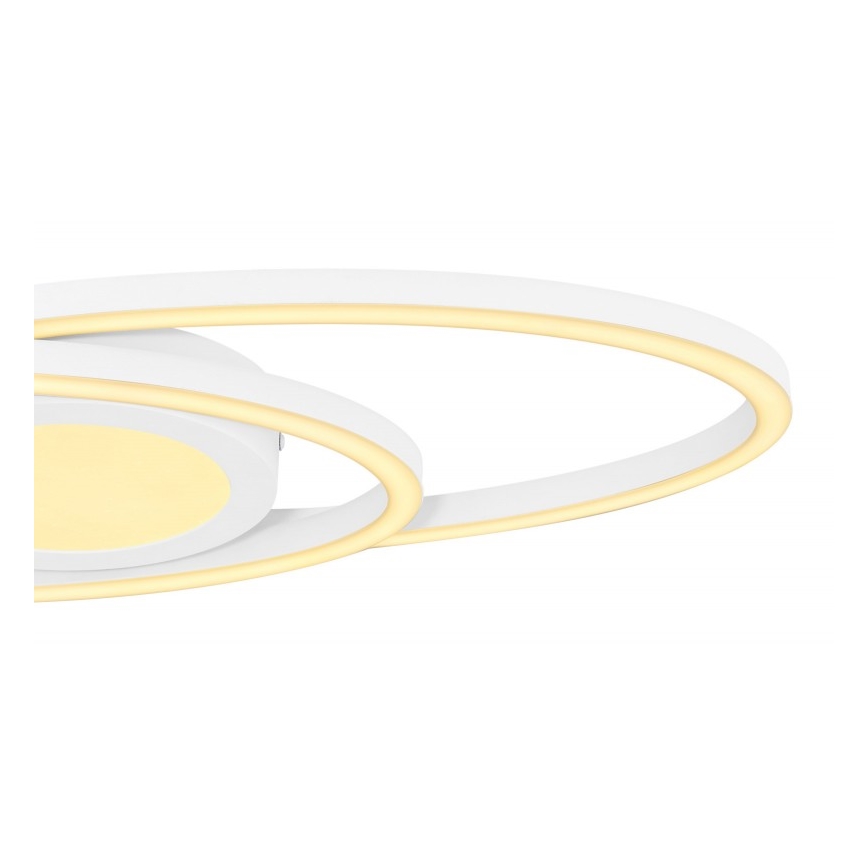 Globo - LED Plafon LED/24W/230V