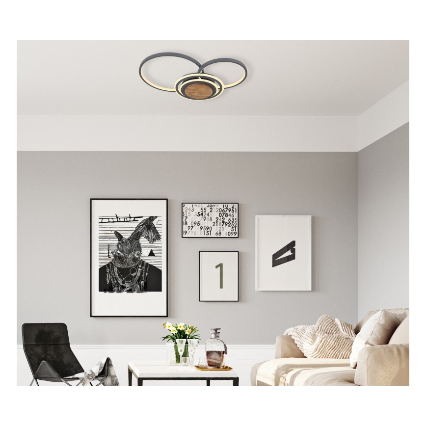 Globo - LED Plafon LED/40W/230V