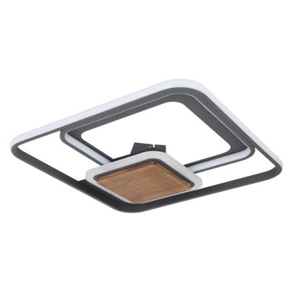 Globo - LED Plafon LED/48W/230V