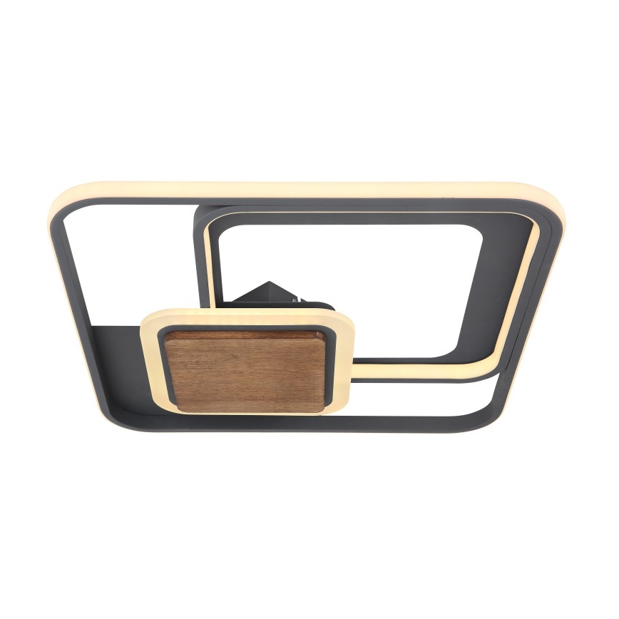 Globo - LED Plafon LED/48W/230V