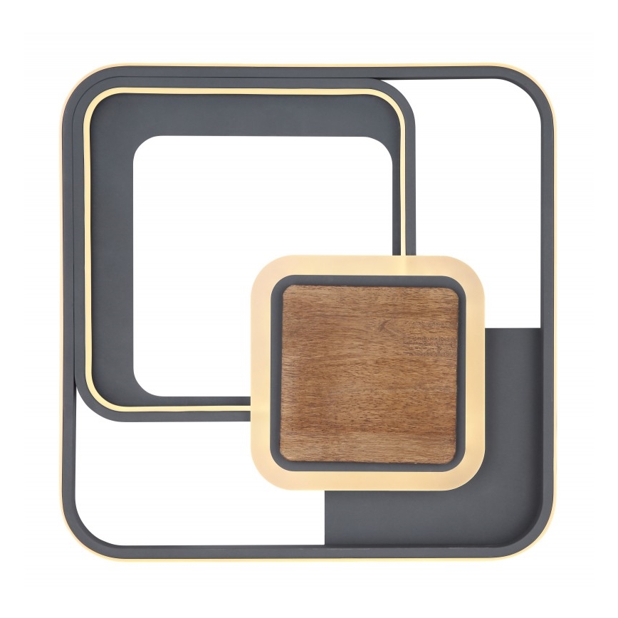 Globo - LED Plafon LED/48W/230V